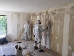 Mold Remediation for Vacation Homes in Atascocita, TX